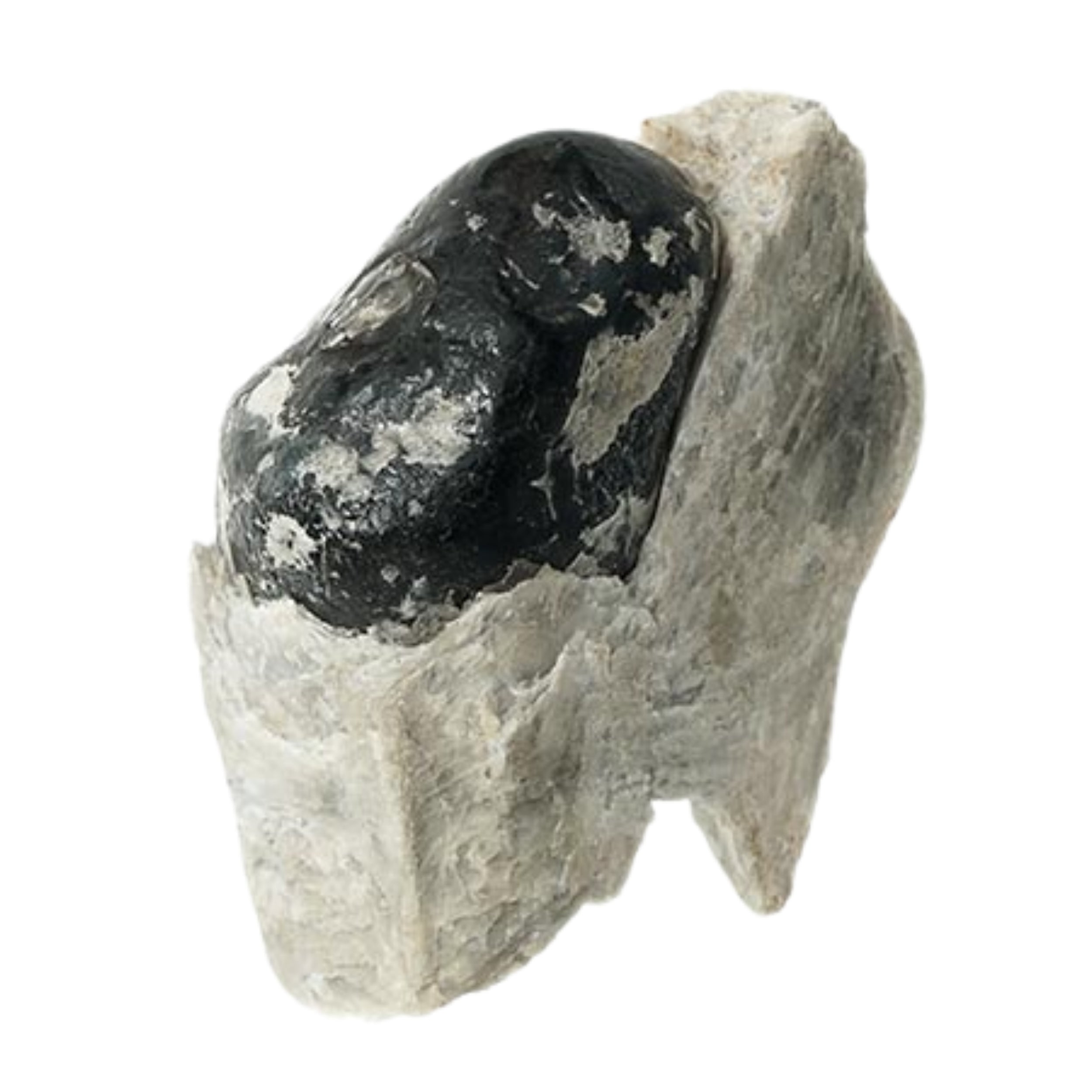 Obsidienne Larme d'Apache sur Guangue brute pierre de collection