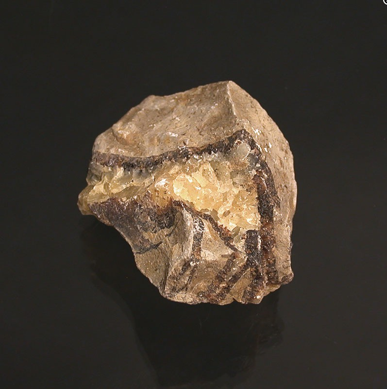 Septaria nodule ou pierre de Dragon provenant de l'Utah, pierre naturelle brute de soin ou de collection